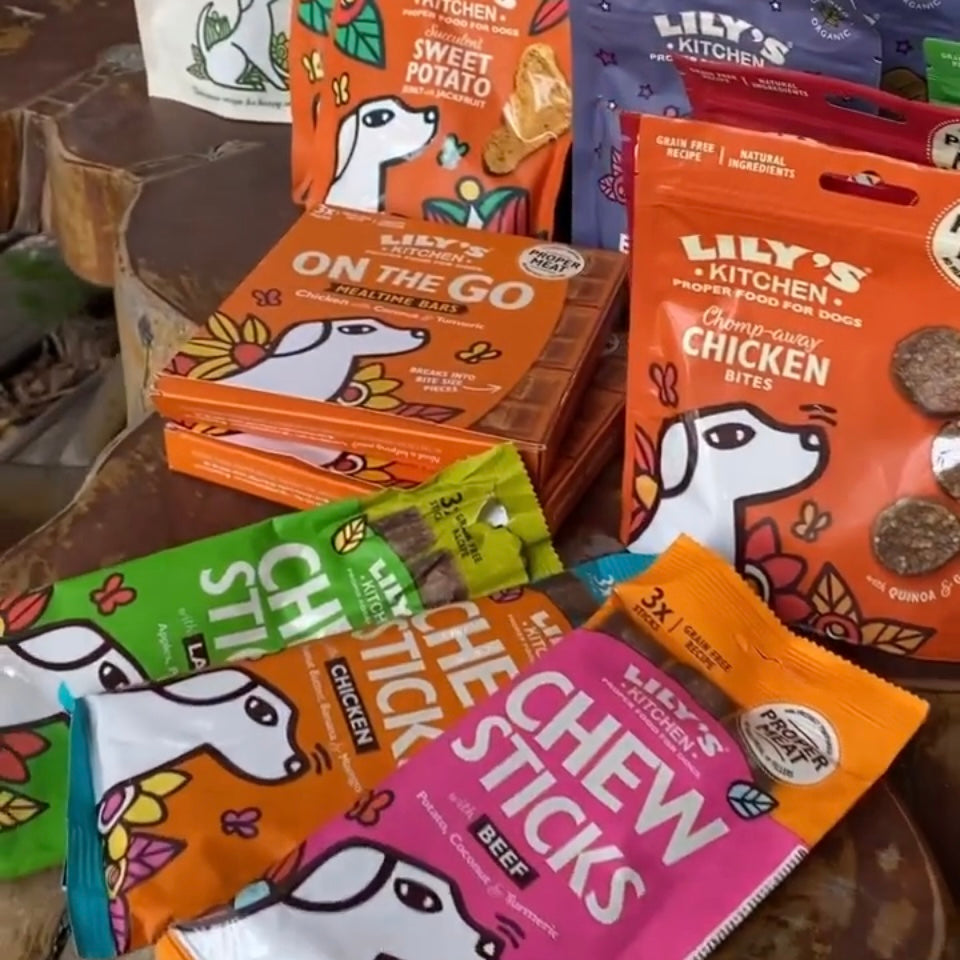 Lily's Kitchen Chew Sticks with Lamb Dog Treats