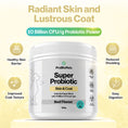 Load image into Gallery viewer, Skin & Coat Probiotic