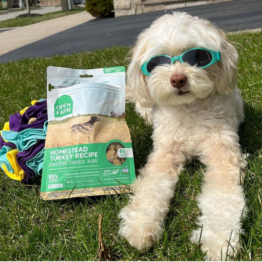 Freeze Dried Homestead Turkey Recipe Dry Dog Food