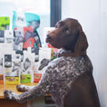 Load image into Gallery viewer, Grass Fed Lamb Green Tripe Raw Freeze Dried Dog Food Topper