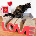 Load image into Gallery viewer, Precious 99% Dust Free Hard Clumping Cat Attract