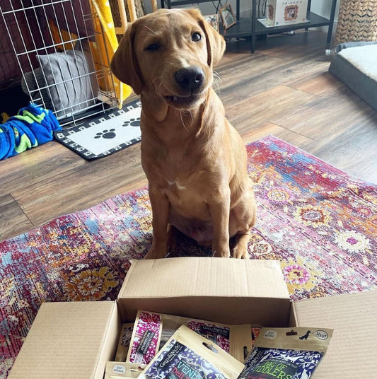 Venison Deli Dog Snacks