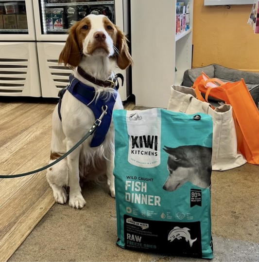 Kiwi Kitchens Wild Caught Fish Dinner Raw Freeze Dried Dog
