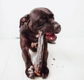 Load image into Gallery viewer, Ziwi Peak Full Venison Shank Bone Chews for Dogs