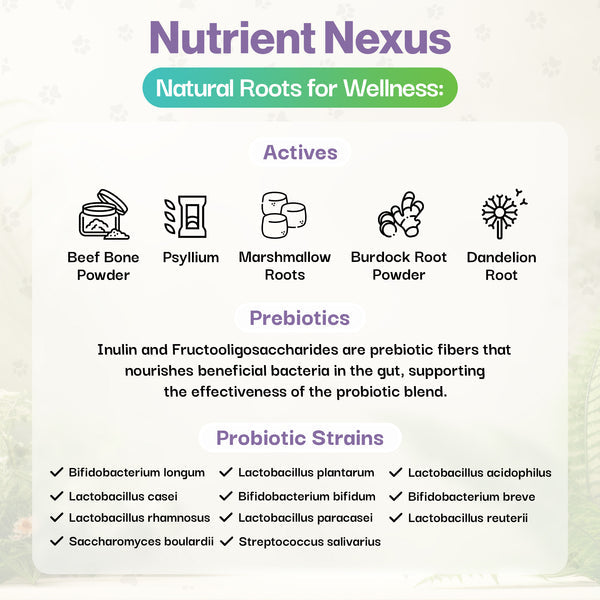 Muscle & Joint Probiotic