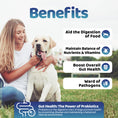Load image into Gallery viewer, Gut Health Powder Supplement for Dogs