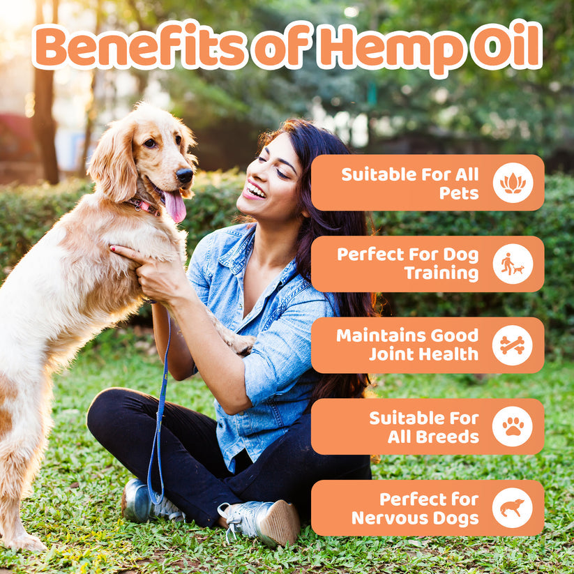 Our Dogs Life Hemp Seed Oil For Dogs