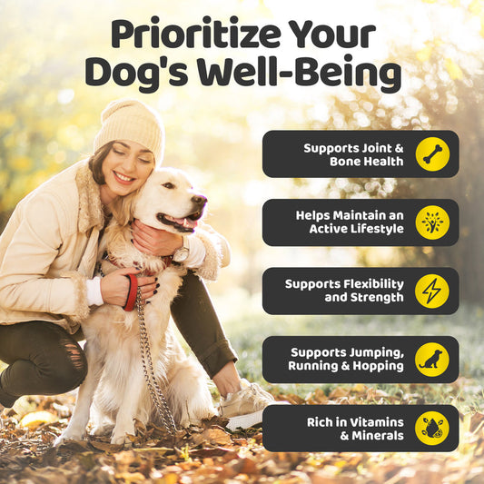 Our Dogs Life Joint Care Chews for Dogs