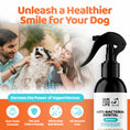 Load image into Gallery viewer, Our Dogs Life Dental Spray For Dogs