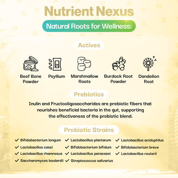 Skin & Coat Probiotic