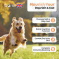 تحميل الصورة في عارض المعرض, Our Dogs Life Salmon Oil For Dogs