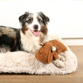 Load image into Gallery viewer, Corduroy Emmy Plush
Toy for Dogs