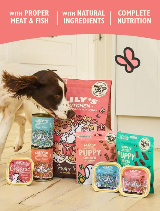 Chicken & Turkey Nibbles Puppy Treats