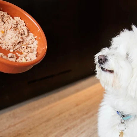 Lamb Wet Dog Food