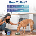 Load image into Gallery viewer, Gut Health Powder Supplement for Dogs