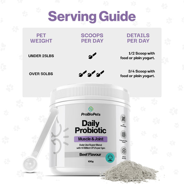 Muscle & Joint Probiotic