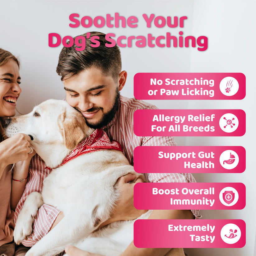 Our Dogs Life Itch Relief Dog Chews