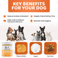 Load image into Gallery viewer, Our Dogs Life Lick Mat For Dogs with Spreader & Brush