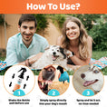 Load image into Gallery viewer, Dental Spray For Dogs