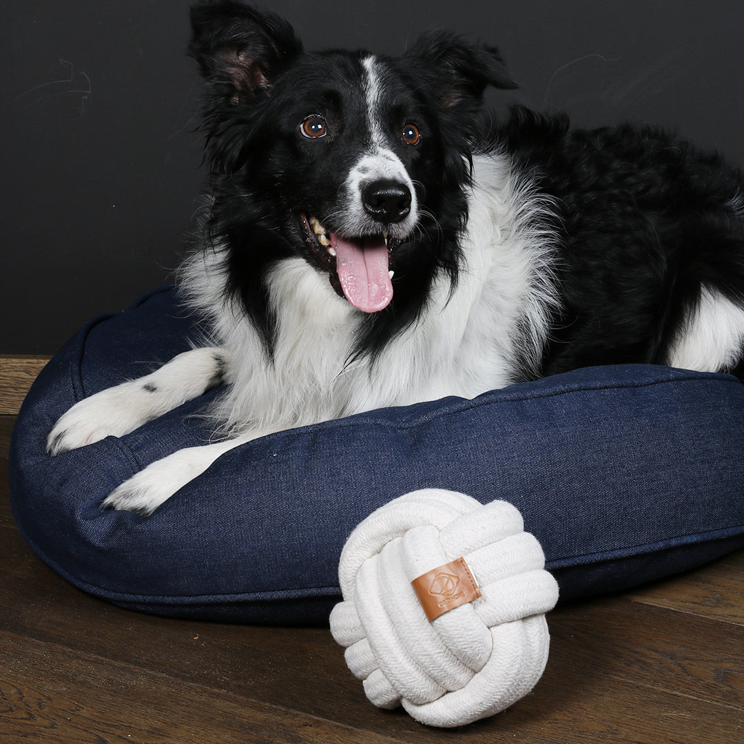 Skip Ball Toy for Dogs