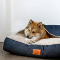 Load image into Gallery viewer, Ben Braided Ring Toy for Dogs