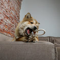 Load image into Gallery viewer, Kurt Braded Cone Plush Toy for Dogs