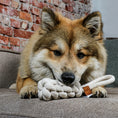 Load image into Gallery viewer, Kurt Braded Cone Plush Toy for Dogs