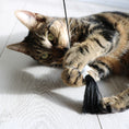 Load image into Gallery viewer, Teddy Cat Rod