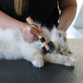 Load image into Gallery viewer, Cats Arthur Wood Slicker Brush for Cats