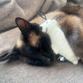 Load image into Gallery viewer, I Love Happy Cats Barry Bear Kicking Cushion