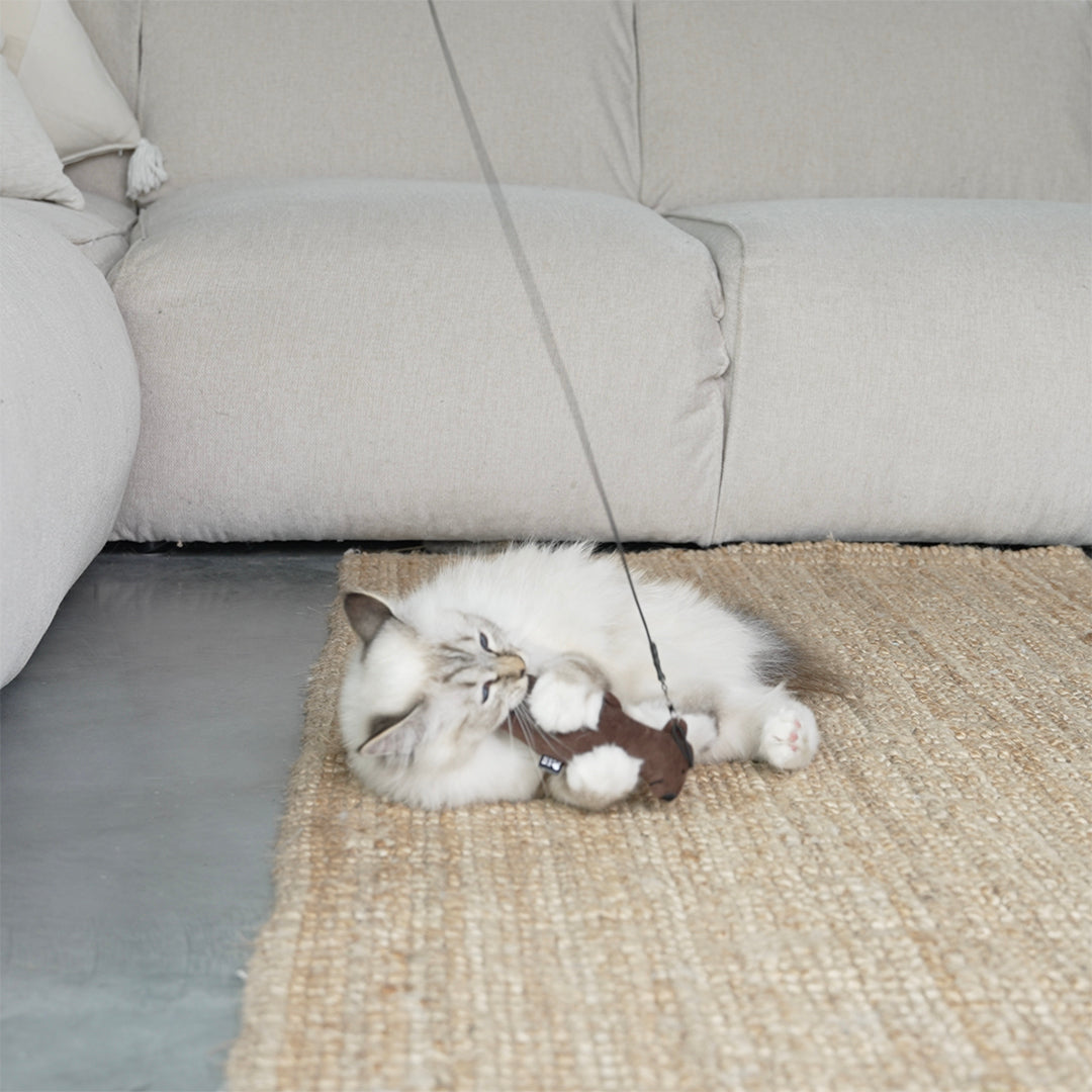 I Love Happy Cats Barry Bear Kicking Cushion