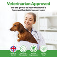 Load image into Gallery viewer, Immune Probiotic For Pets