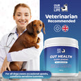 Load image into Gallery viewer, Gut Health Powder Supplement for Dogs