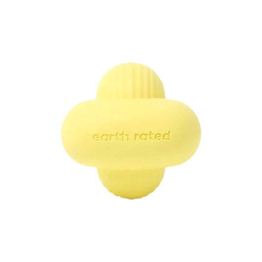 Fetch Toy