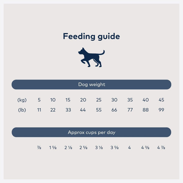 Steam & Dried Lamb Recipe Dry Dog Food