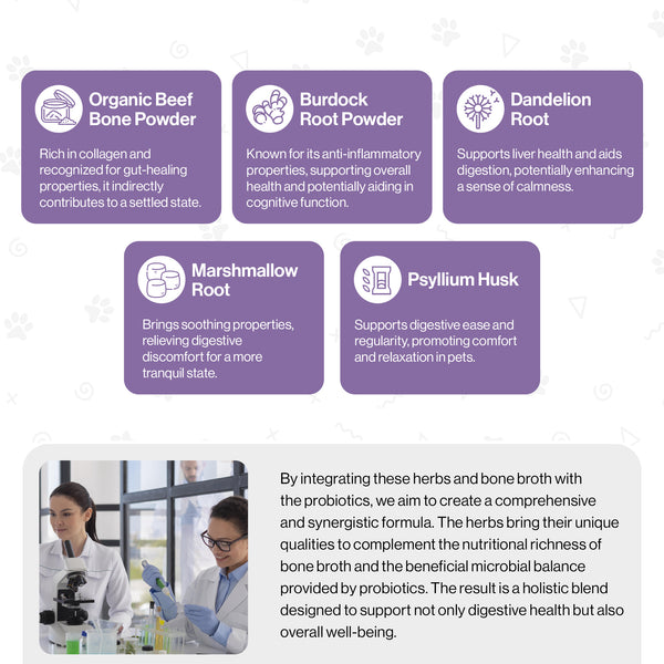 Muscle & Joint Probiotic