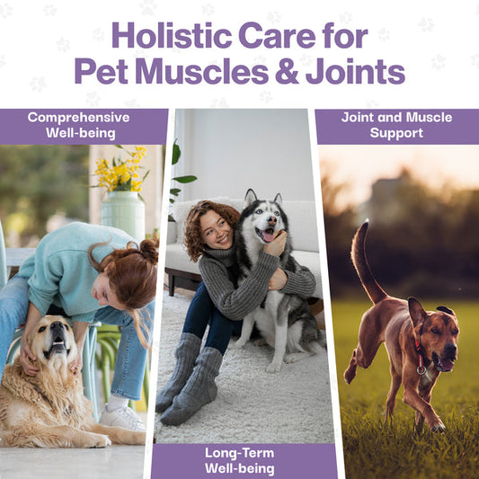 Muscle & Joint Probiotic