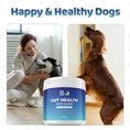 Load image into Gallery viewer, Gut Health Powder Supplement for Dogs