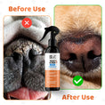 Load image into Gallery viewer, Our Dogs Life Paw & Nose Cleaner Spray For Dogs