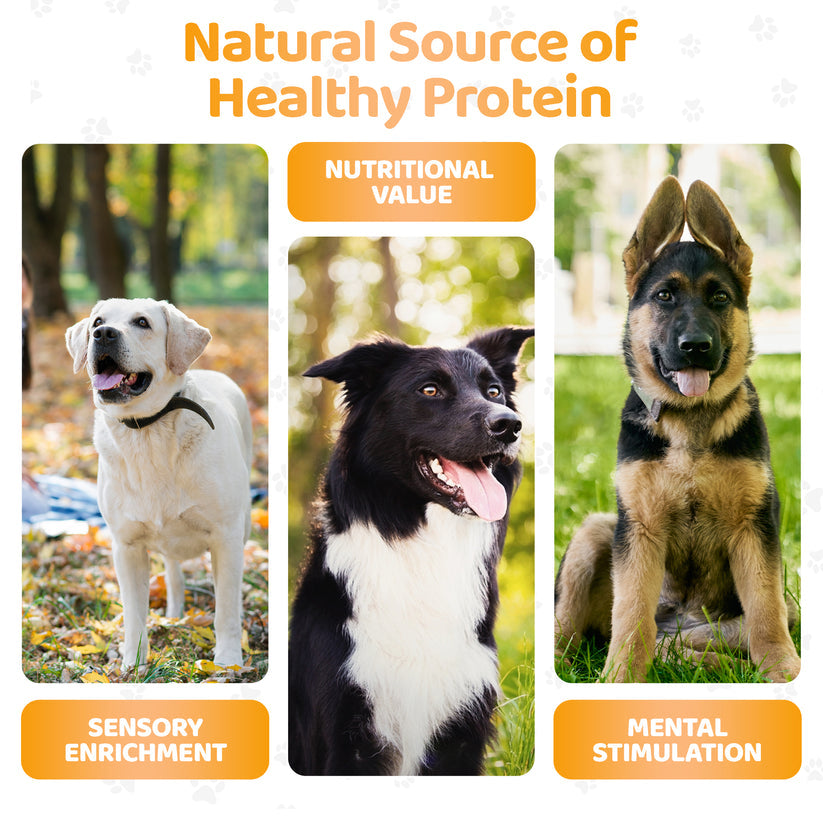 Our Dogs Life Natural Peanut Butter for Dogs