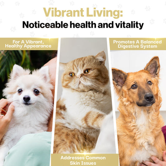 Skin & Coat Probiotic