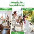Load image into Gallery viewer, Immune Probiotic For Pets