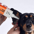 Load image into Gallery viewer, Our Dogs Life Dog Ear Cleaning Solution
