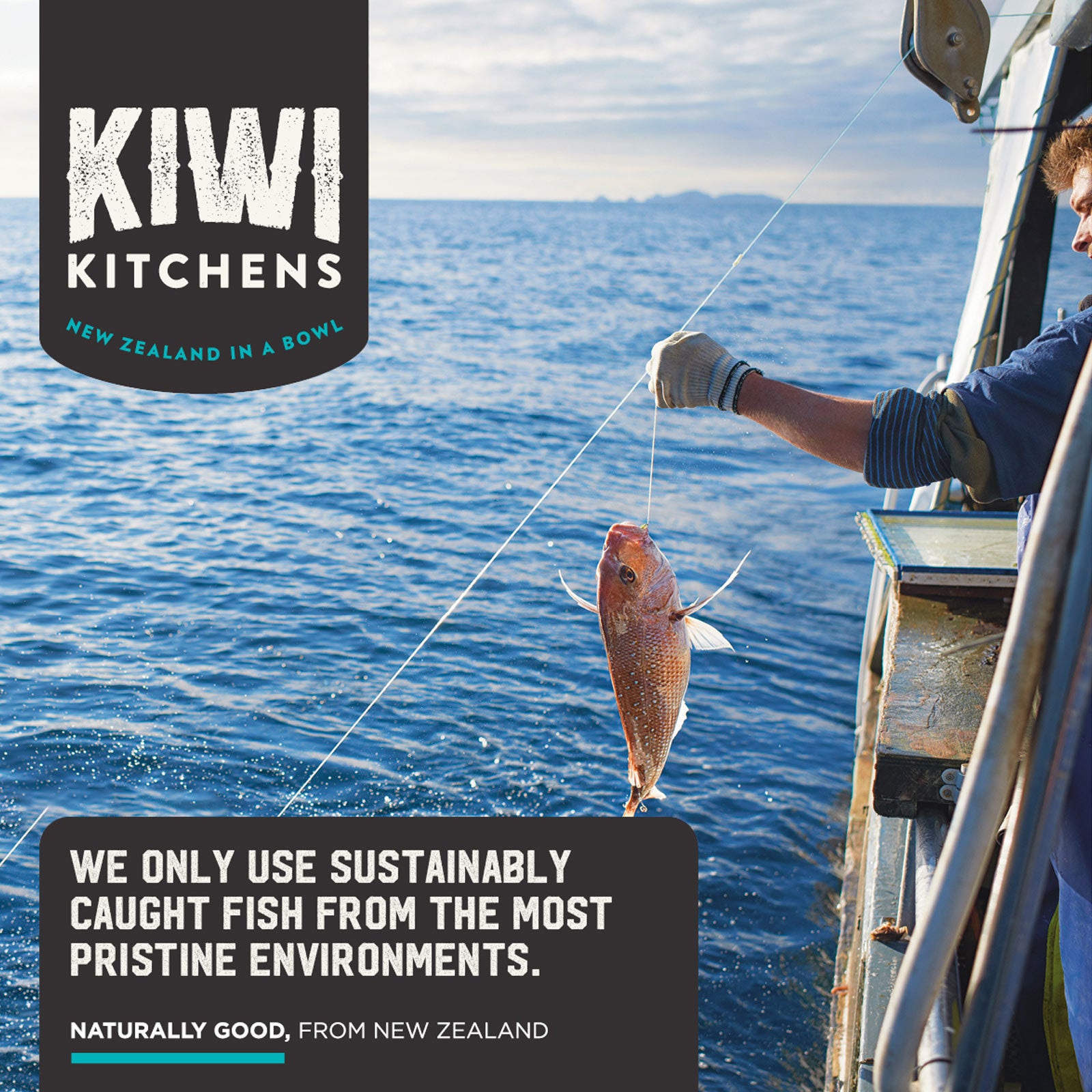 Kiwi Kitchens Salmon Topper All Life Stages Grain Free
