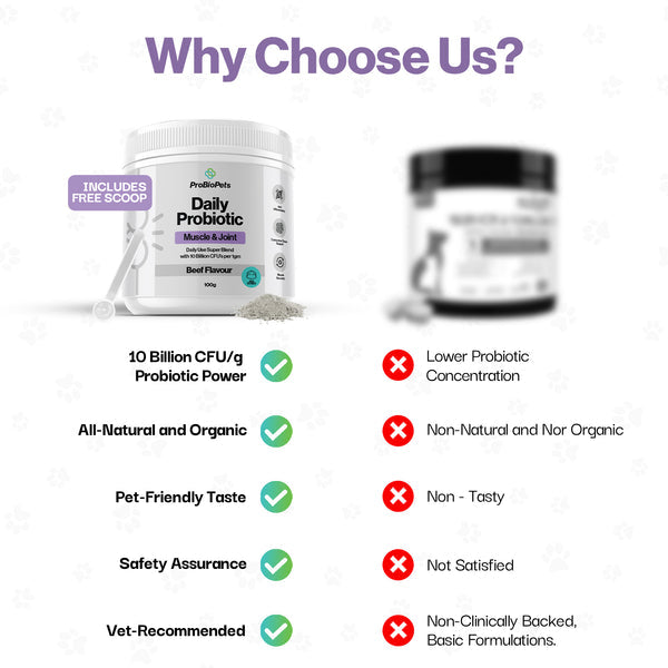Muscle & Joint Probiotic