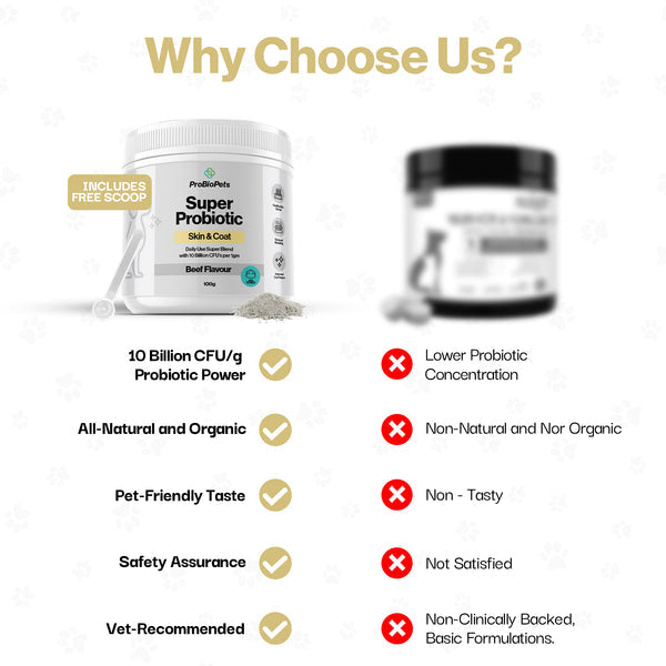 Skin & Coat Probiotic