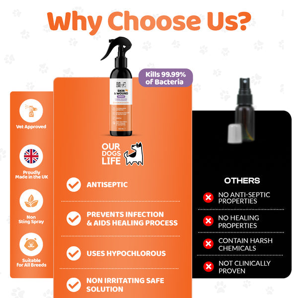 Skin & Wound Antiseptic Spray For Dogs ( EXP : NOV 2025 )