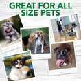 Load image into Gallery viewer, Dental Powder For Dogs