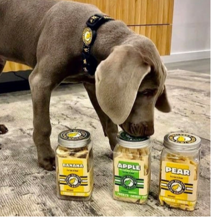 Kiwi Walker Freeze Dried Grain Free Snack Apple pet treats