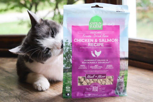 Chicken & Salmon Morsel Freeze DriedRaw Cat Food